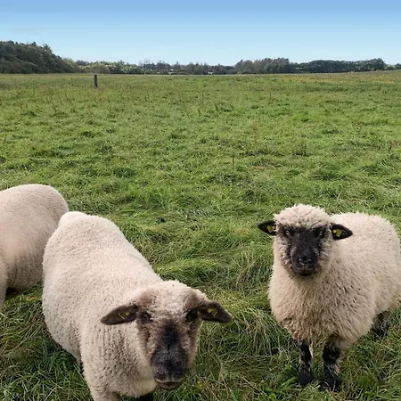 Holiday home Beautiful In With Kitchen