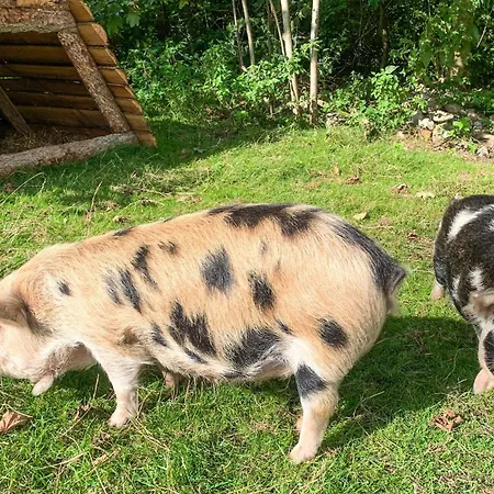 Beautiful In With Kitchen Holiday home *